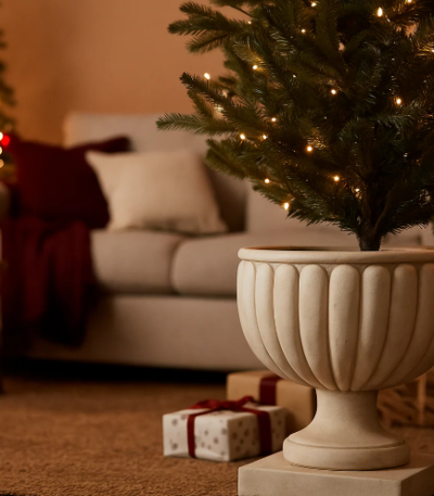 Base albero Coppa bianca